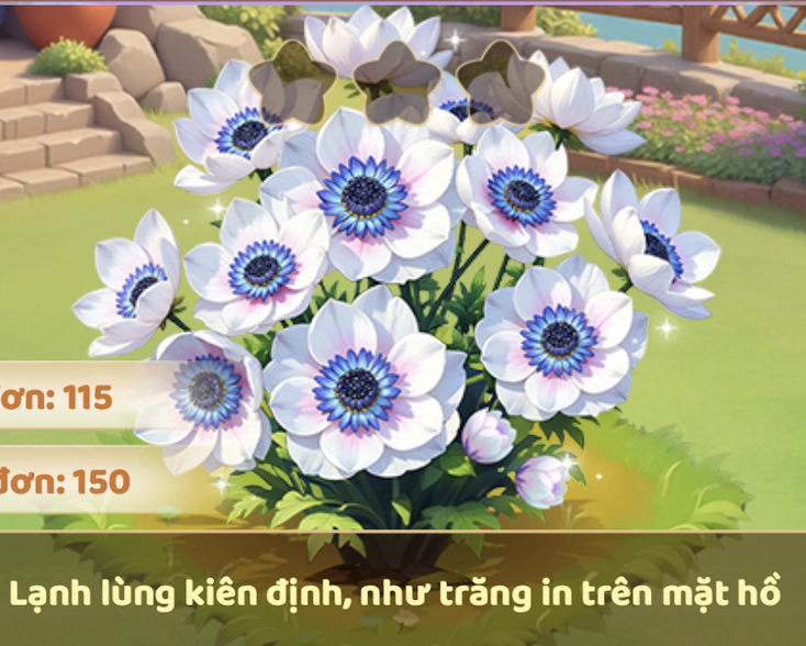 Hải Quỳ Trắng